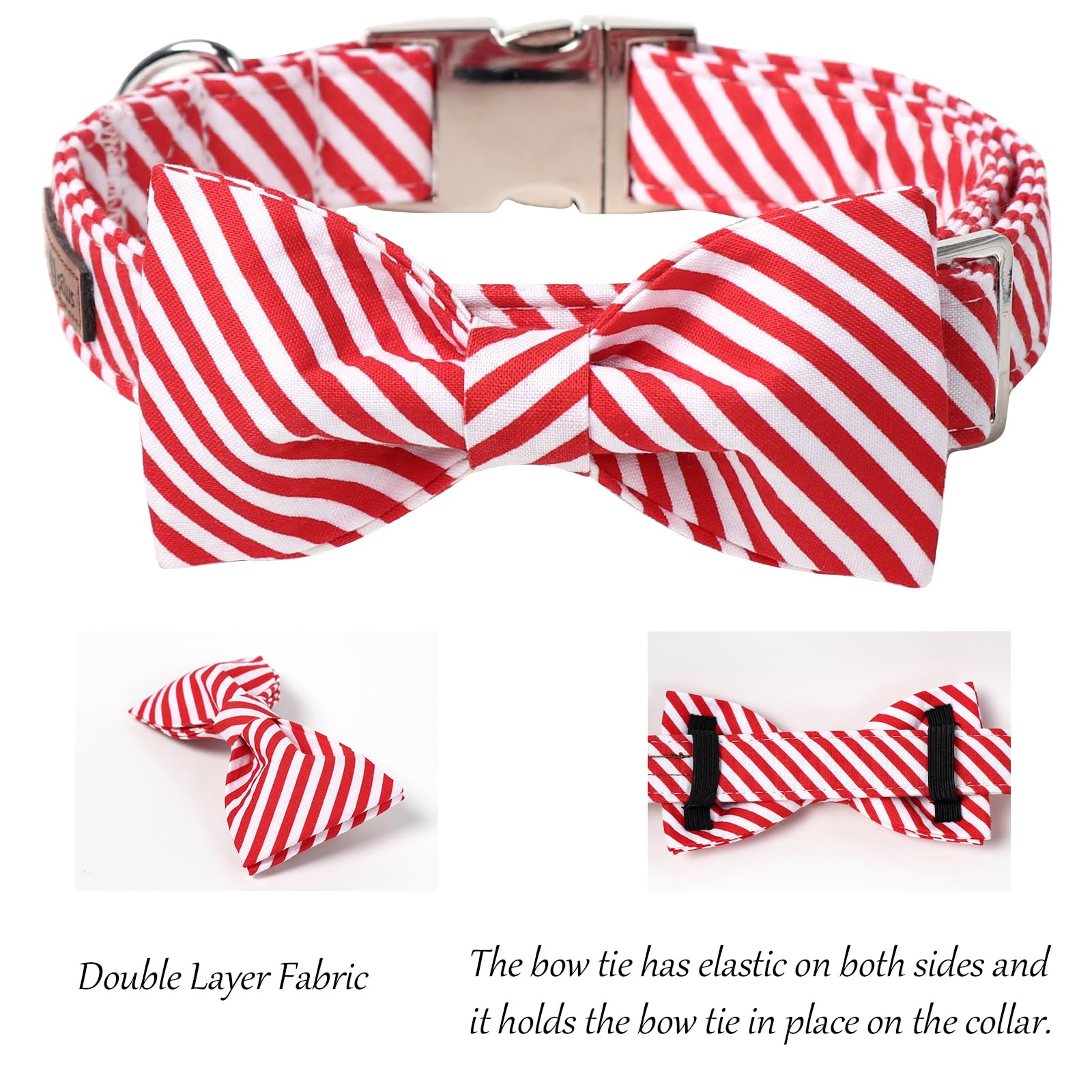 Lionet Paws adjustable bowtie collar providing a secure fit for growing dogs.