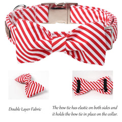 Lionet Paws adjustable bowtie collar providing a secure fit for growing dogs.
