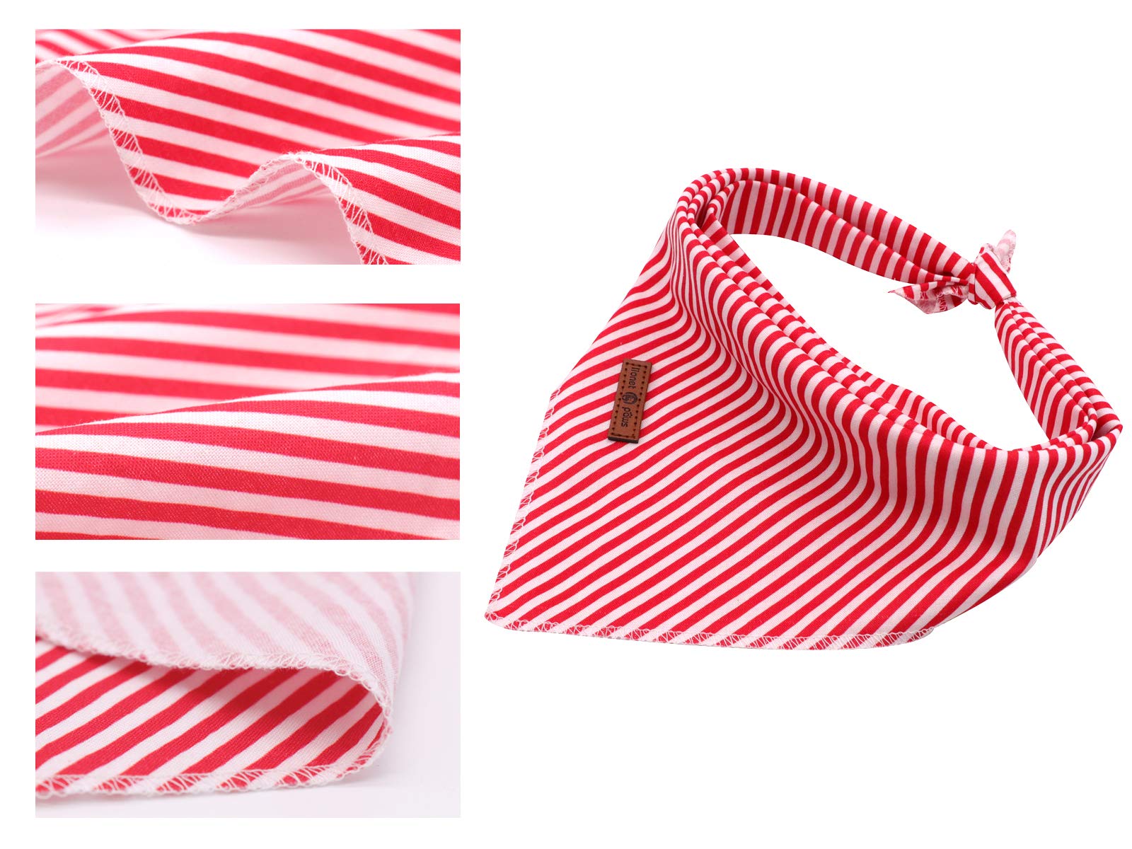 Lionet Paws bandana coordinate with collars and leashes from the same collection.