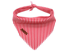 Lionet Paws bandana triangle S size on a small dog, soft cotton for daily wear.