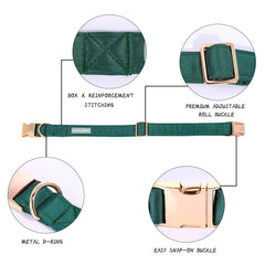 Lionet Paws bowtie attachment detail showing detachable design for versatility