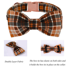 Lionet Paws bowtie-detachable-design showcases versatile styling on any collar.
