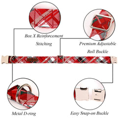 Lionet Paws detachable bowtie collar on show-ready, easy dress-up for photos and events