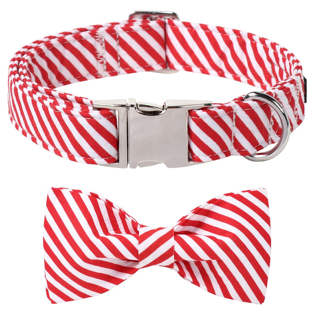 Lionet Paws Christmas dog collar with bowtie for festive holiday photos and celebrations.