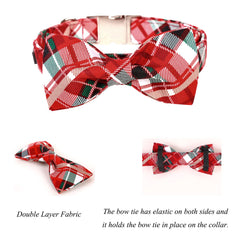 Lionet Paws reinforced collar with metal buckle and D-ring for secure leashes and tags