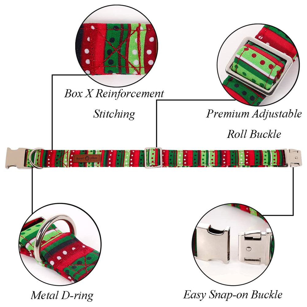 Lionet Paws collar shows a sturdy metal buckle for secure everyday wear.