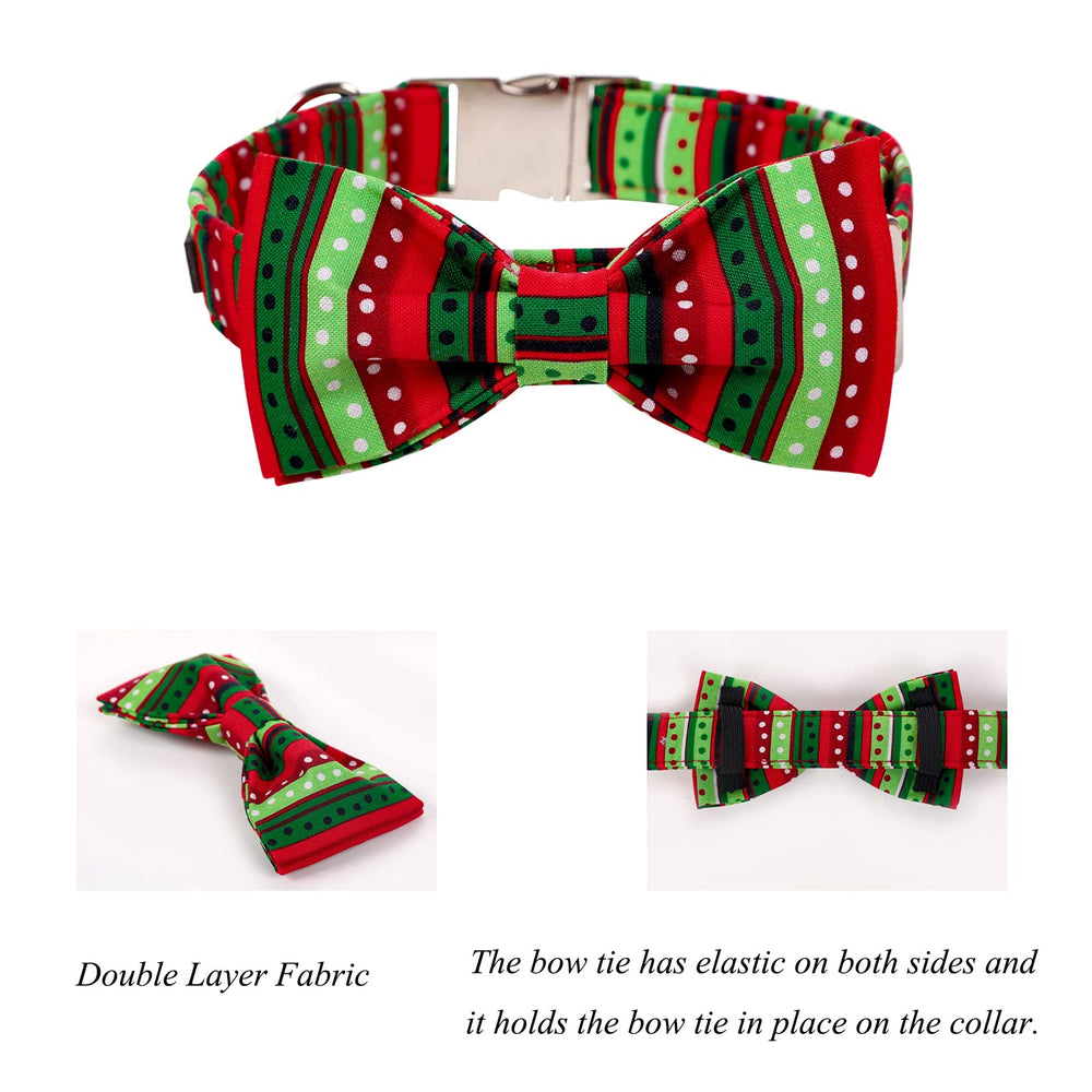 Lionet Paws Christmas collar pattern detail adds holiday flair for events.