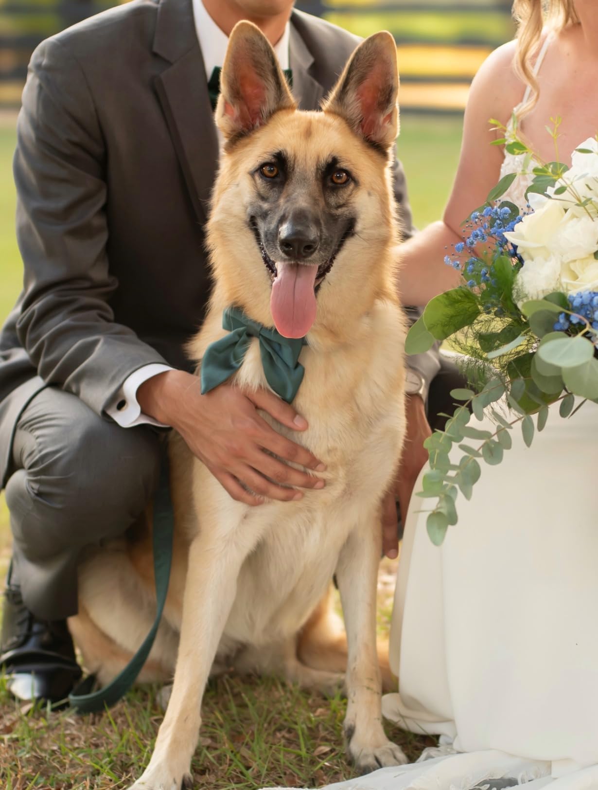 Lionet Paws Silk Collar detail showcases soft, breathable fabric.