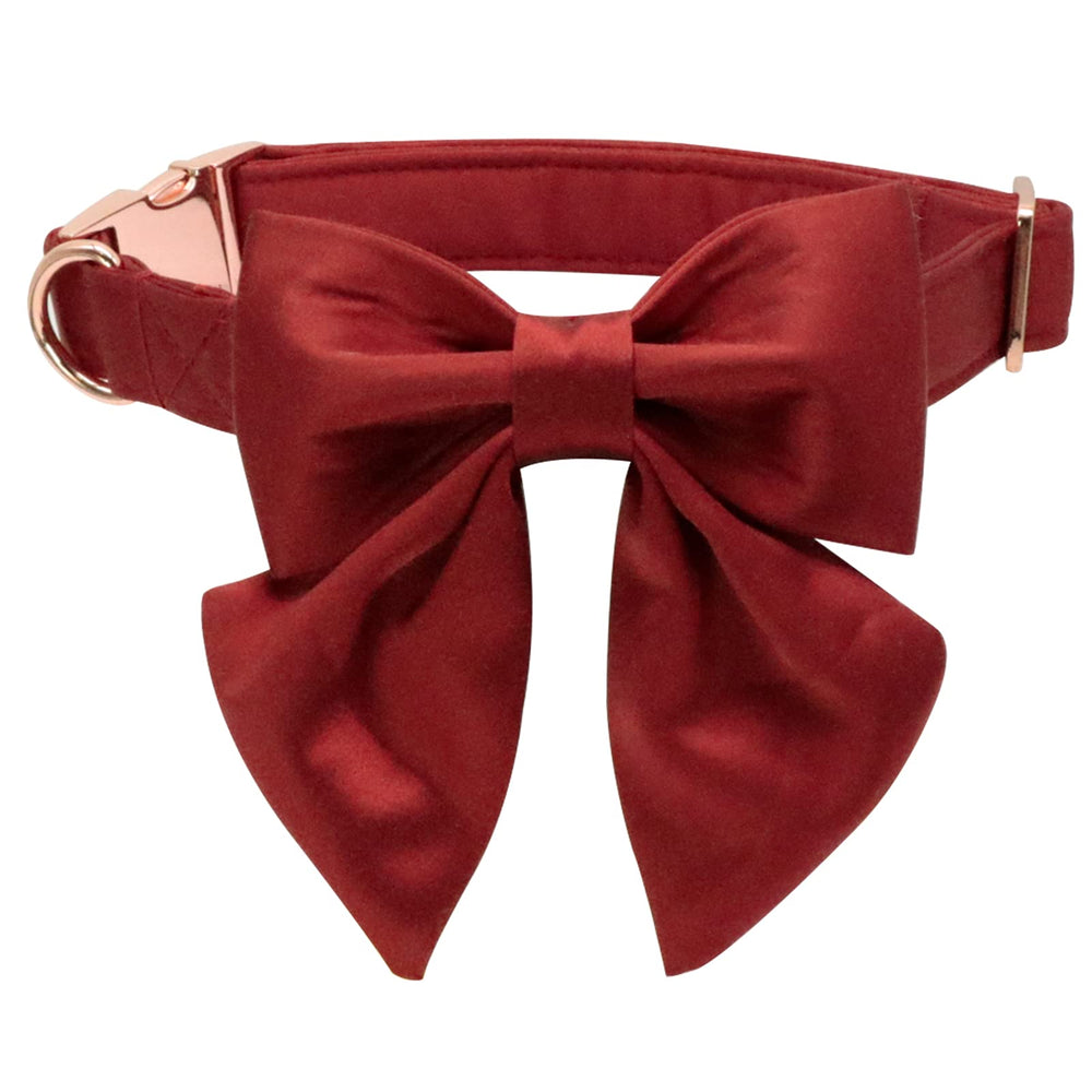 Lionet Paws collar with bow attached for stylish family photos
