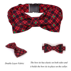 Lionet Paws cotton collar with durable alloy buckle for everyday wear