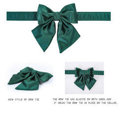 Lionet Paws Detachable Bowtie Attachment demonstrates versatile styling on any collar.