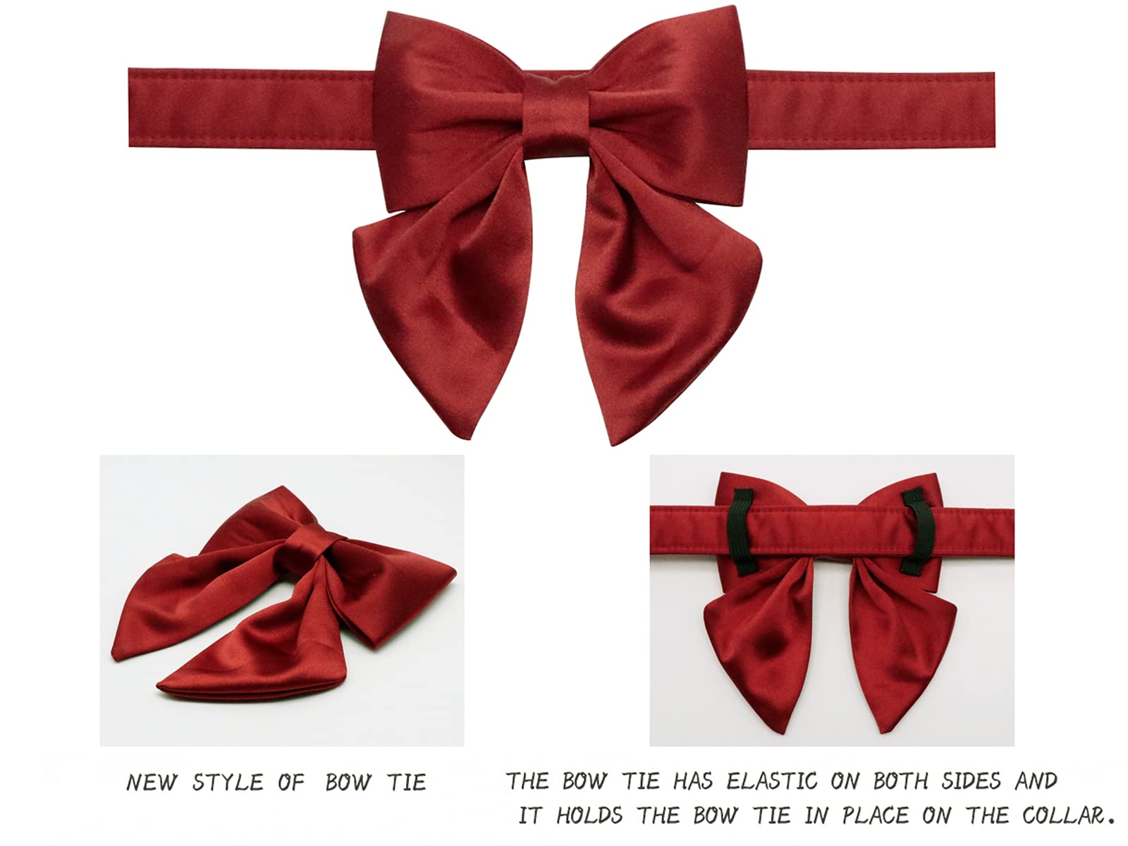 Lionet Paws detachable bowtie feature attached to the collar