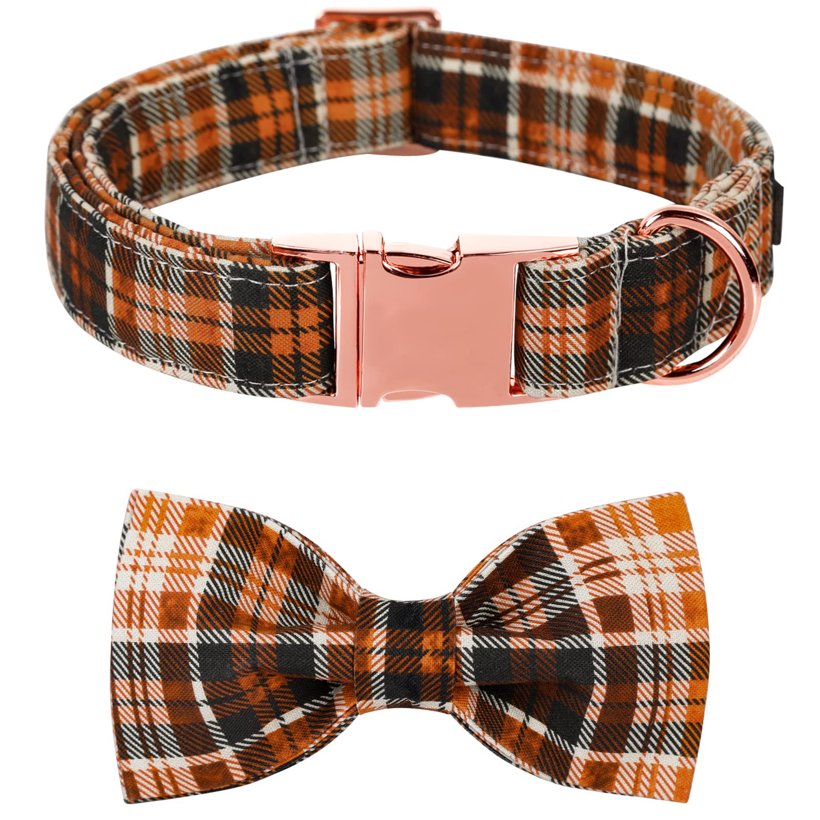 Lionet Paws Halloween collar with bowtie setup boosts cute photo-ready look.