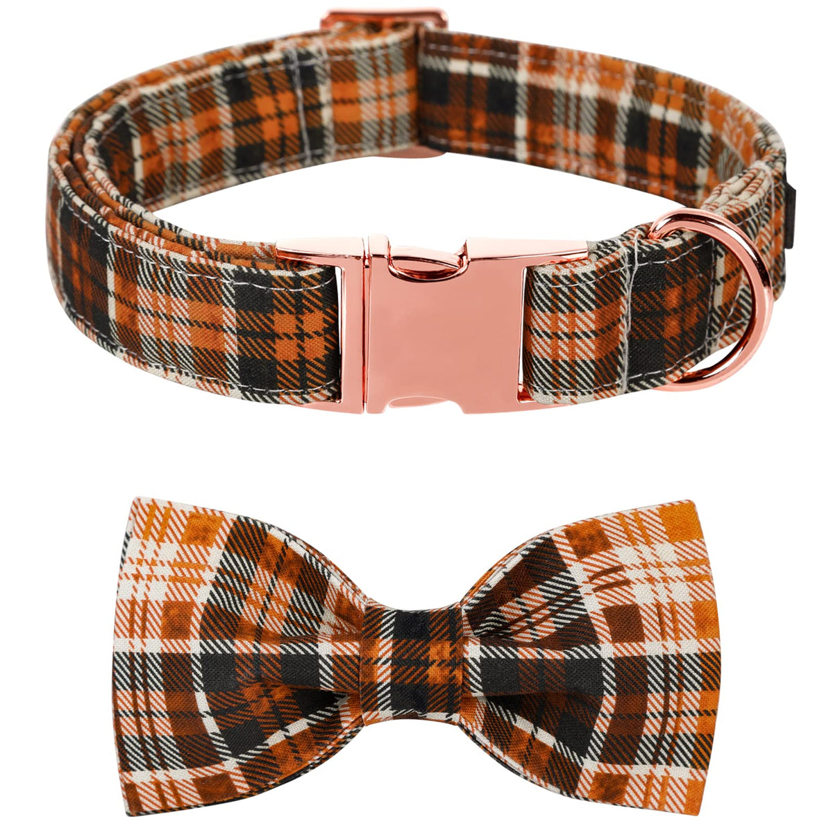 Lionet Paws Halloween collar with bowtie setup boosts cute photo-ready look.