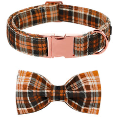 Lionet Paws Halloween collar with bowtie setup boosts cute photo-ready look.