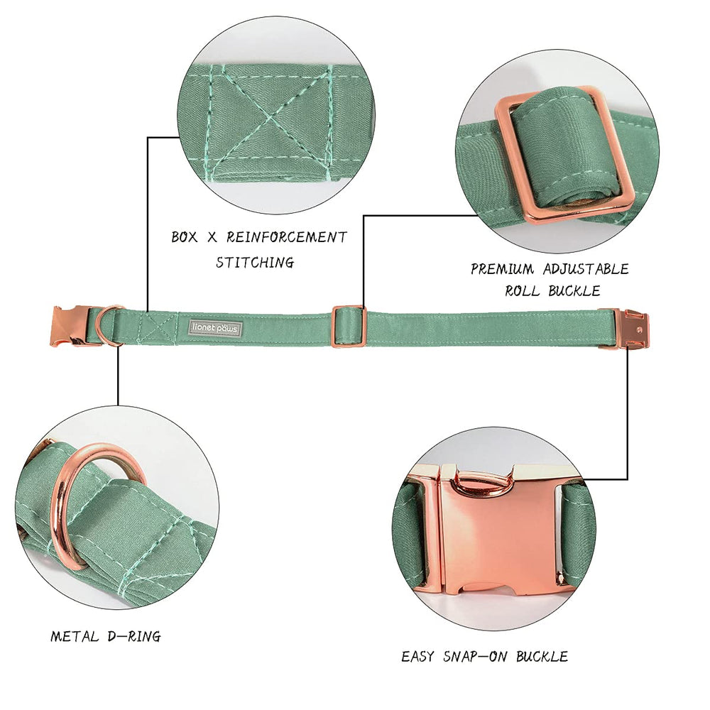 Lionet Paws dog collar with gold rose buckle close-up for easy wearing.