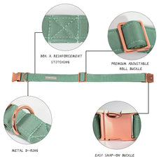 Lionet Paws dog collar with gold rose buckle close-up for easy wearing.