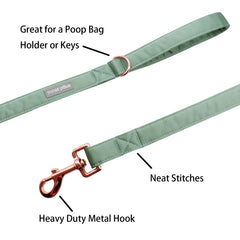 Lionet Paws collar and leash set worn on dog during photos.