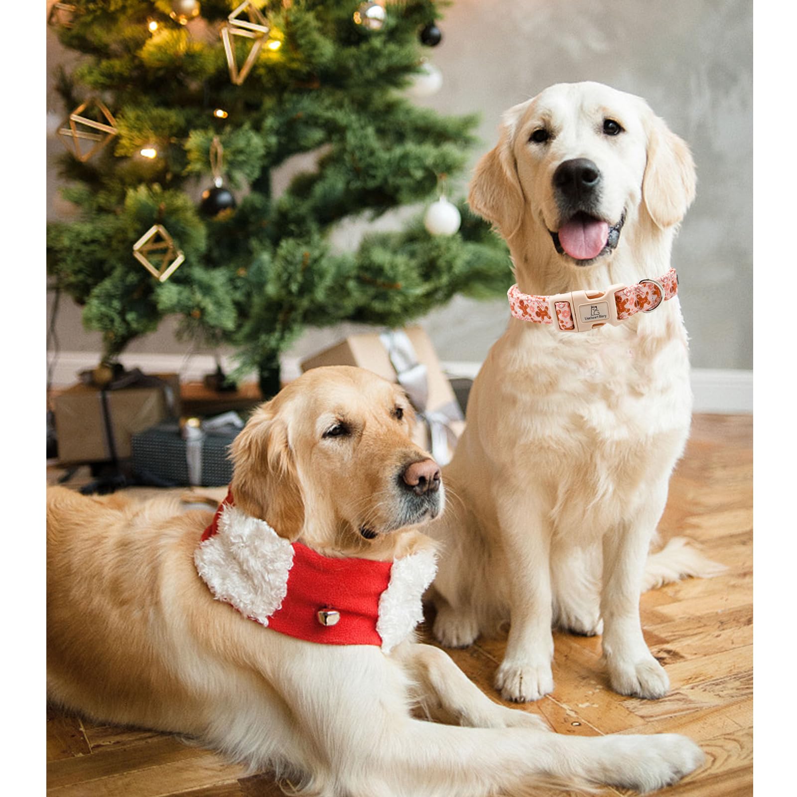 Lionheart glory adjustable dog collar strap demonstrates customizable fit for all sizes.