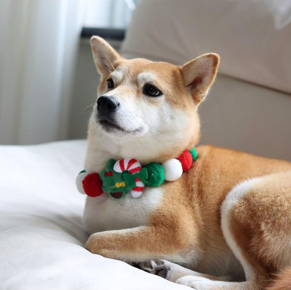 Lionheart glory Christmas collar as a party accessory for seasonal celebrations.