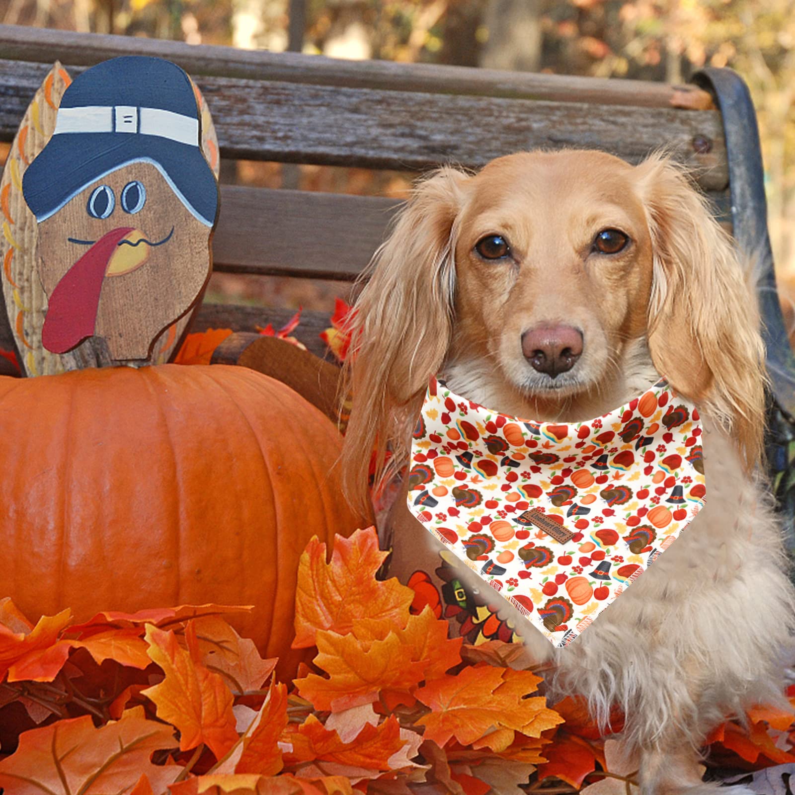Lionheart Glory size-ready dog bandana suits medium and large breeds.