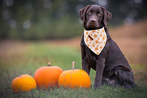Lionheart Glory small-size bandana fits compact necks with cute flair