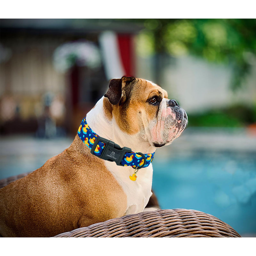 Lionheart glory L collar suits dogs 16-24 inches with secure fit.