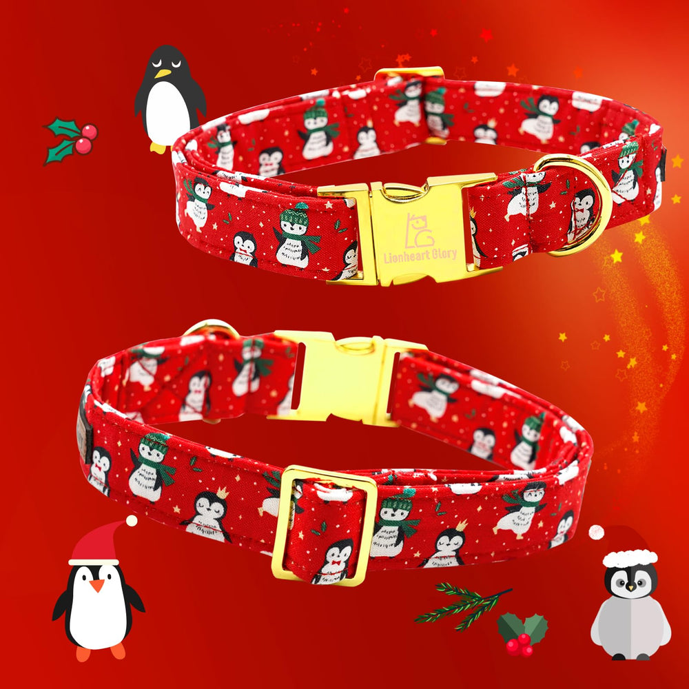 Lionheart Glory gift-ready dog collar, ideal for holiday gifting