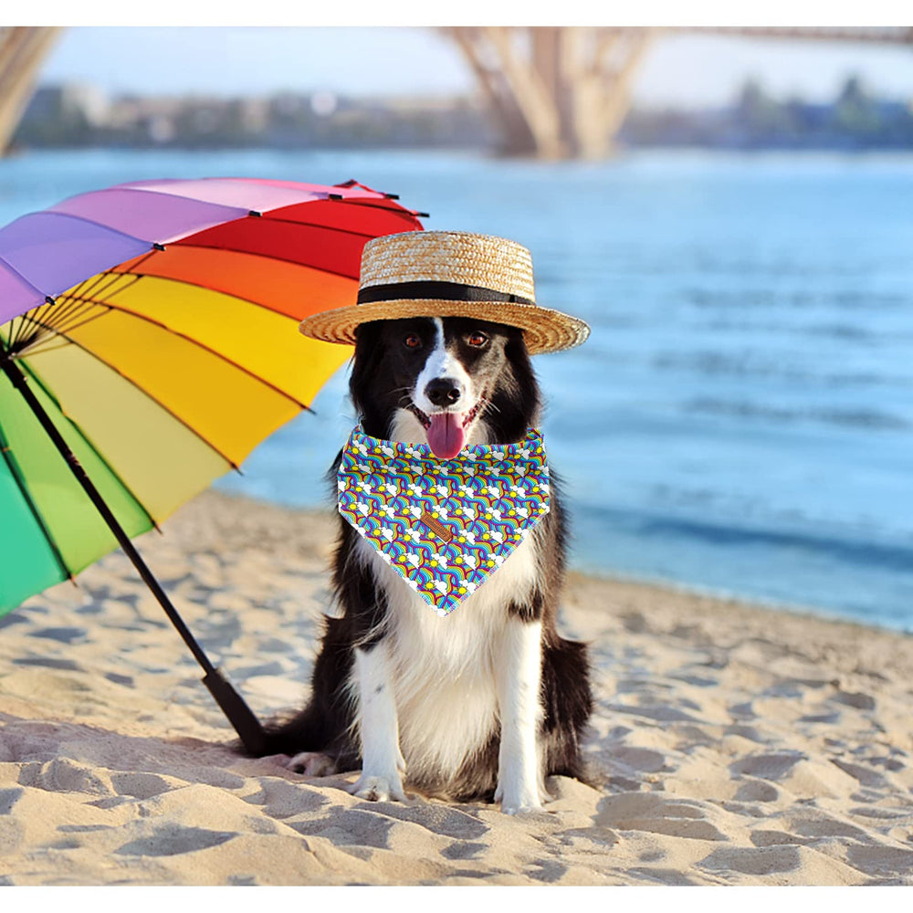 Lionheart glory Rainbow Dog Bandana folded storage for travel ease