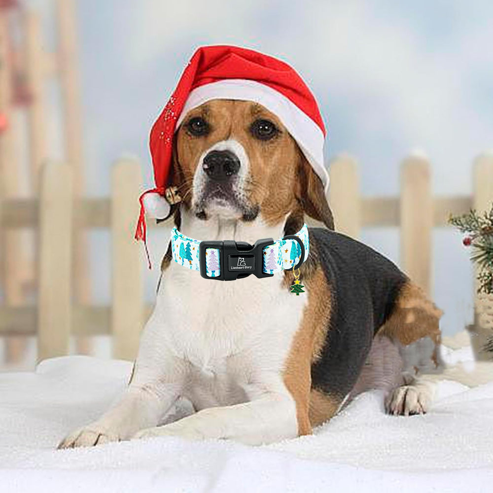 Lionheart Glory winter dog collar on dog demonstrates lightweight, cozy accessory