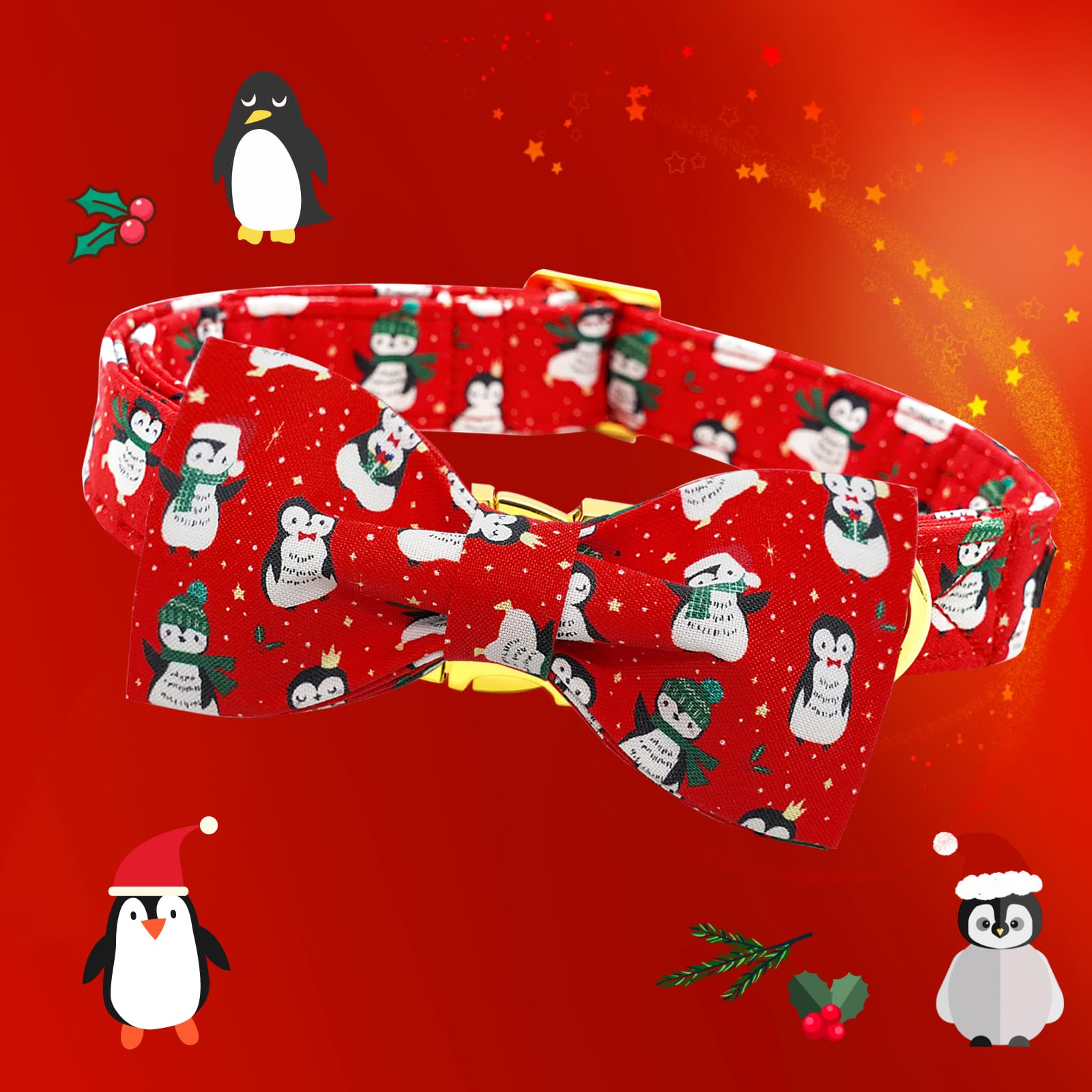 Lionheart Glory woven D-ring provides sturdy hardware for active pets