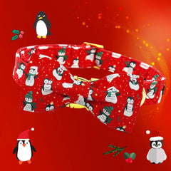 Lionheart Glory woven D-ring provides sturdy hardware for active pets