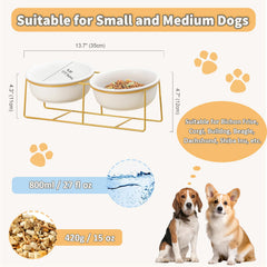 LIONWEI ceramic bowls with tilt design supports comfortable meals