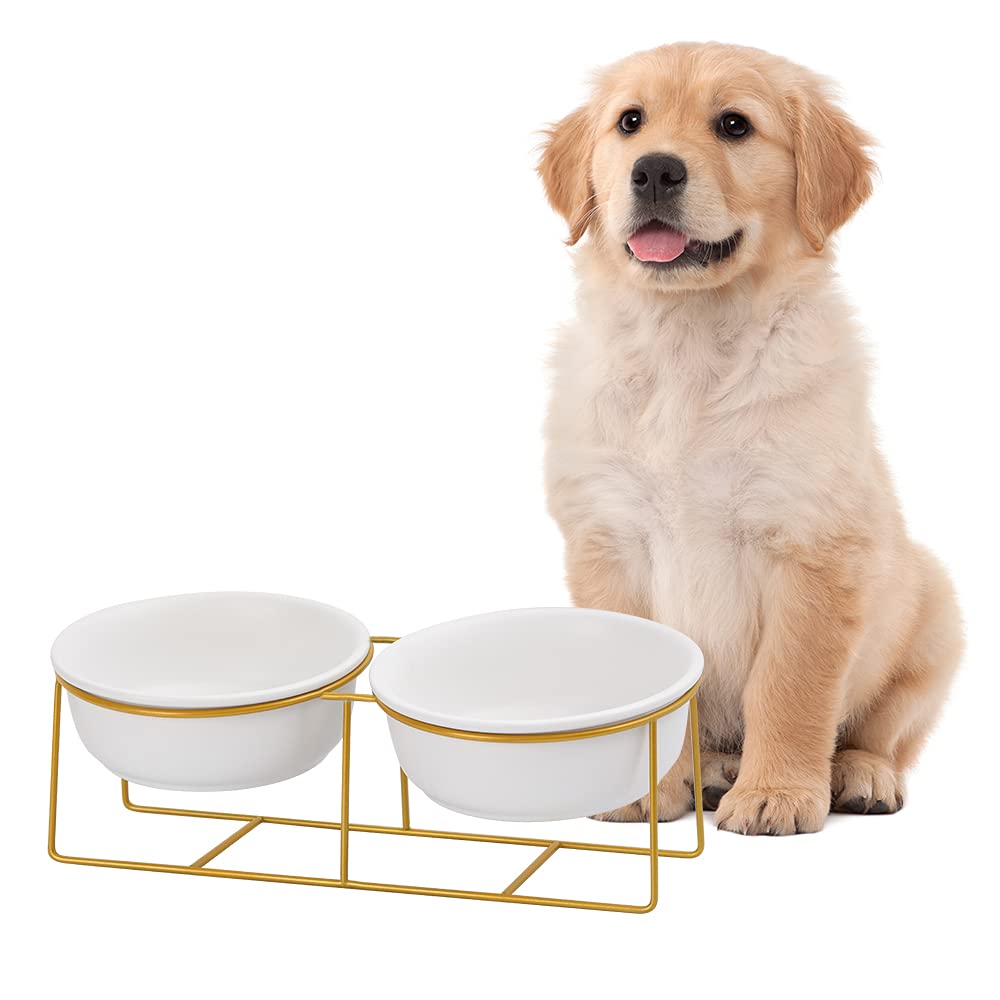 LIONWEI elevated bowls on gold iron stand for ergonomic feeding