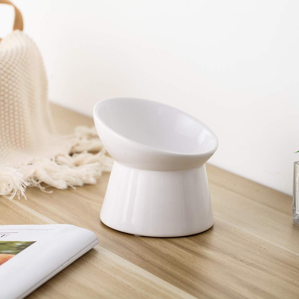 LIONWEI LIONWELI 15-degree tilt cat bowl centers food and reduces spills