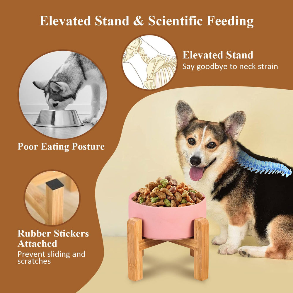 Lionwei no-spill ceramic pet feeder reduces spills during meals.