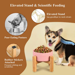 Lionwei no-spill ceramic pet feeder reduces spills during meals.