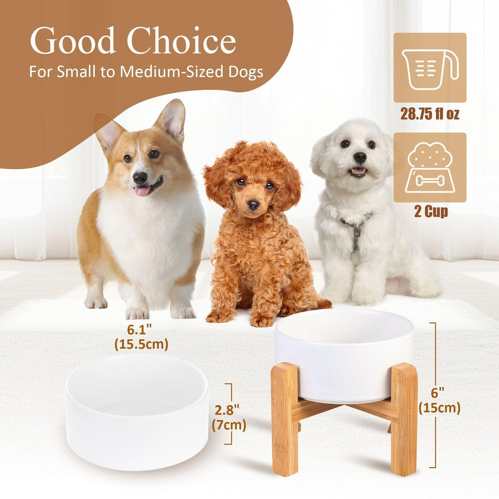 Lionwei raised cat bowl with non-slip wood base for stable mealtime.