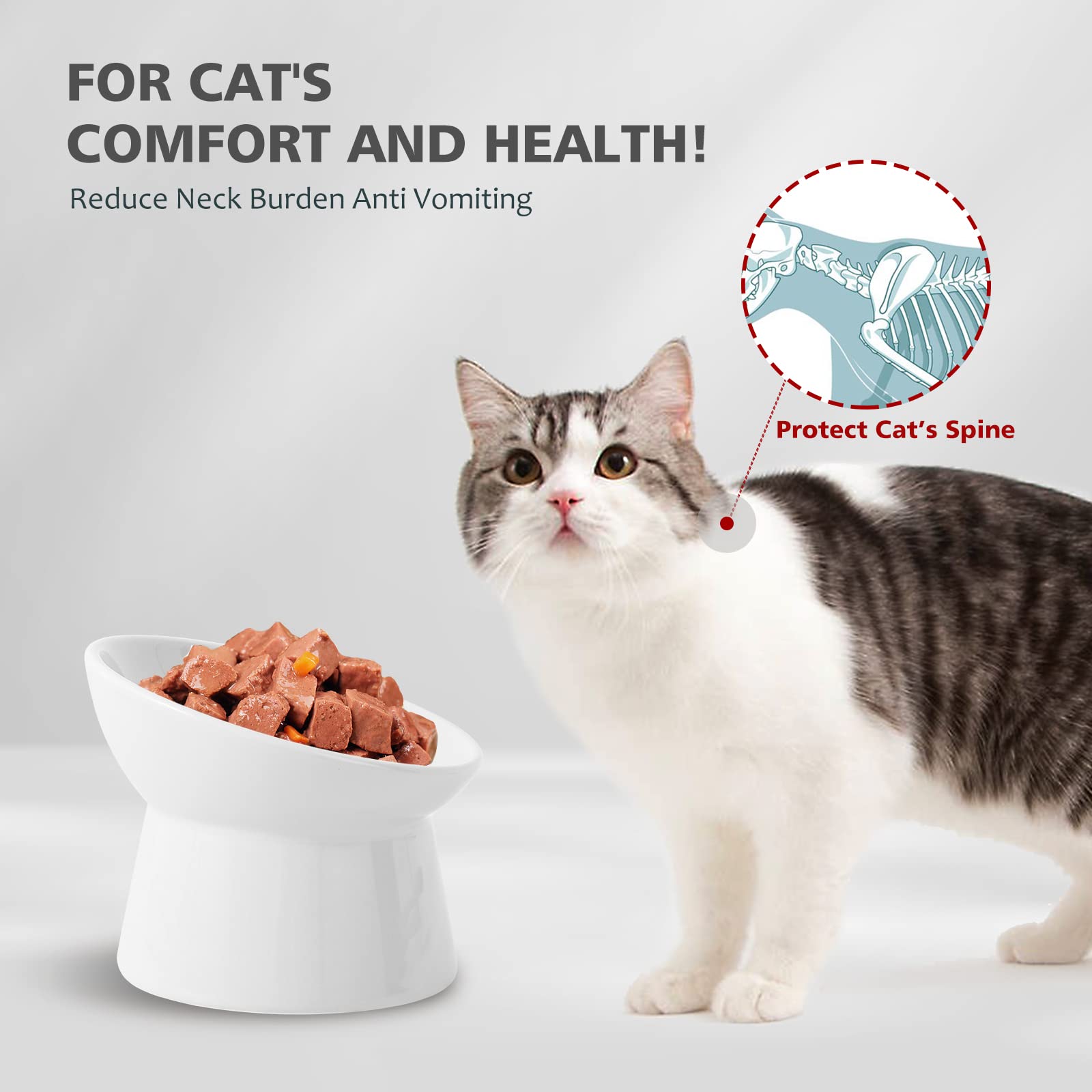 LIONWEI raised ceramic cat bowls tilted-edge highlights angled rim keeps food centered and spill-free.