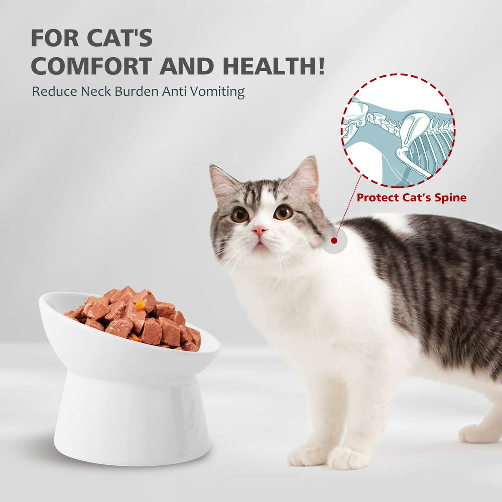 LIONWEI raised ceramic cat bowls tilted-edge highlights angled rim keeps food centered and spill-free.