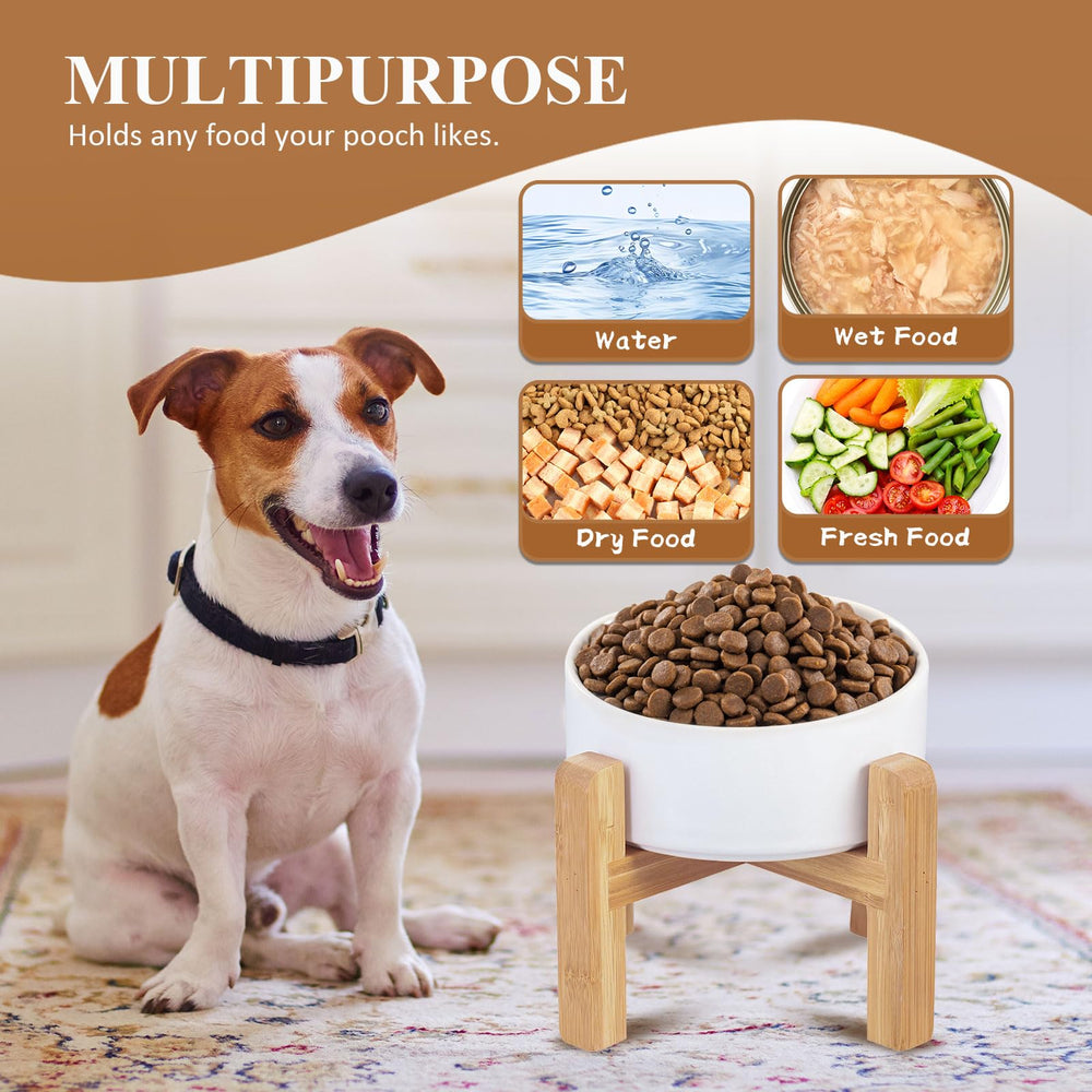 Lionwei smooth-surface cat bowl is easy to clean and maintain.