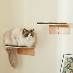 LIORCE 2-set cat wall steps left perch for climbing and lounging.