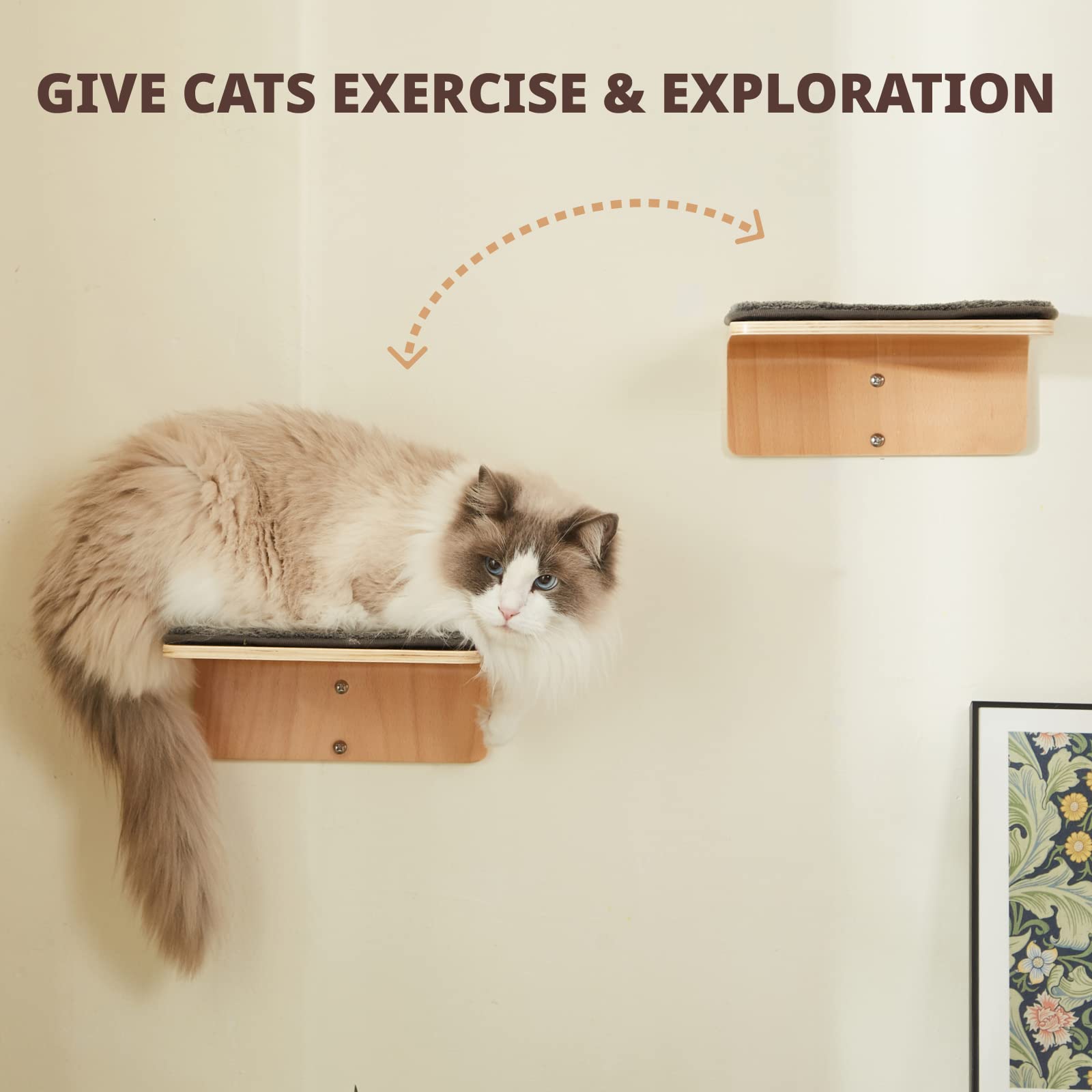 LIORCE 2-set cat wall steps right perch encouraging jumping and play.