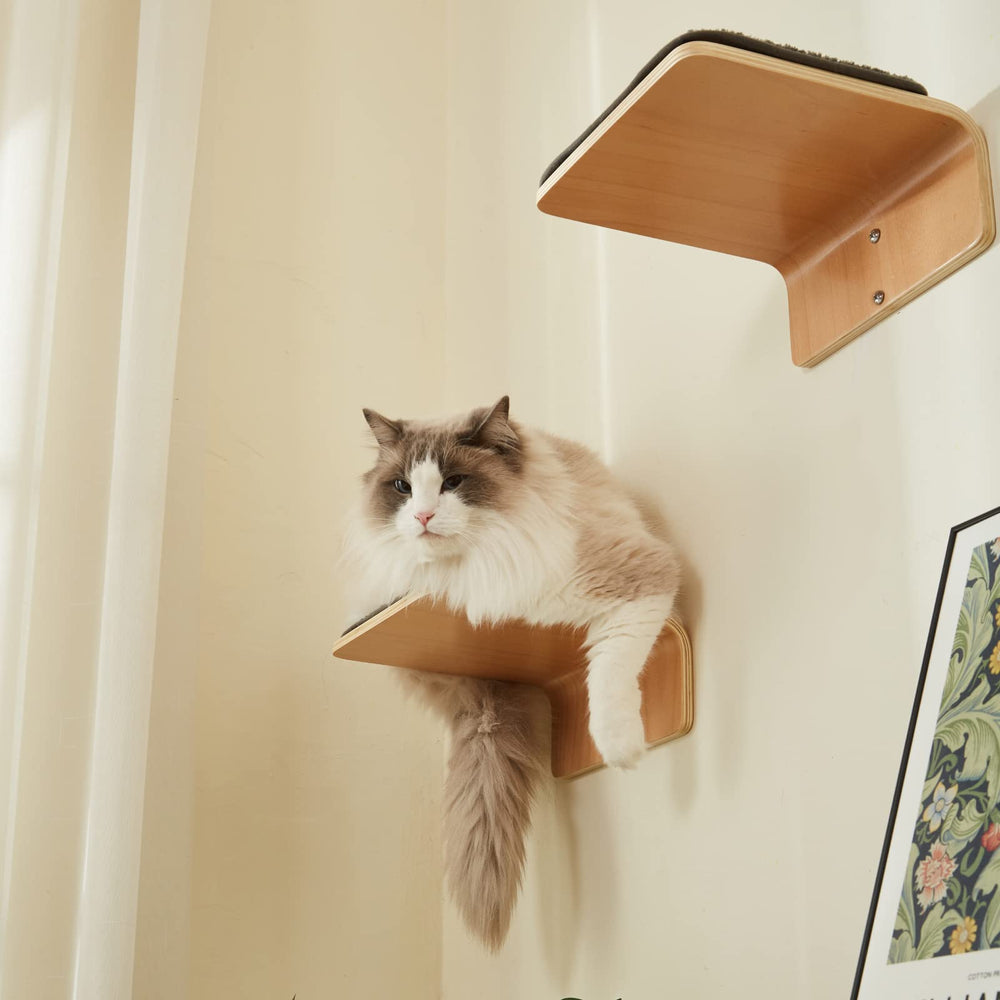 LIORCE cat climbing shelf boosts indoor agility and playtime.