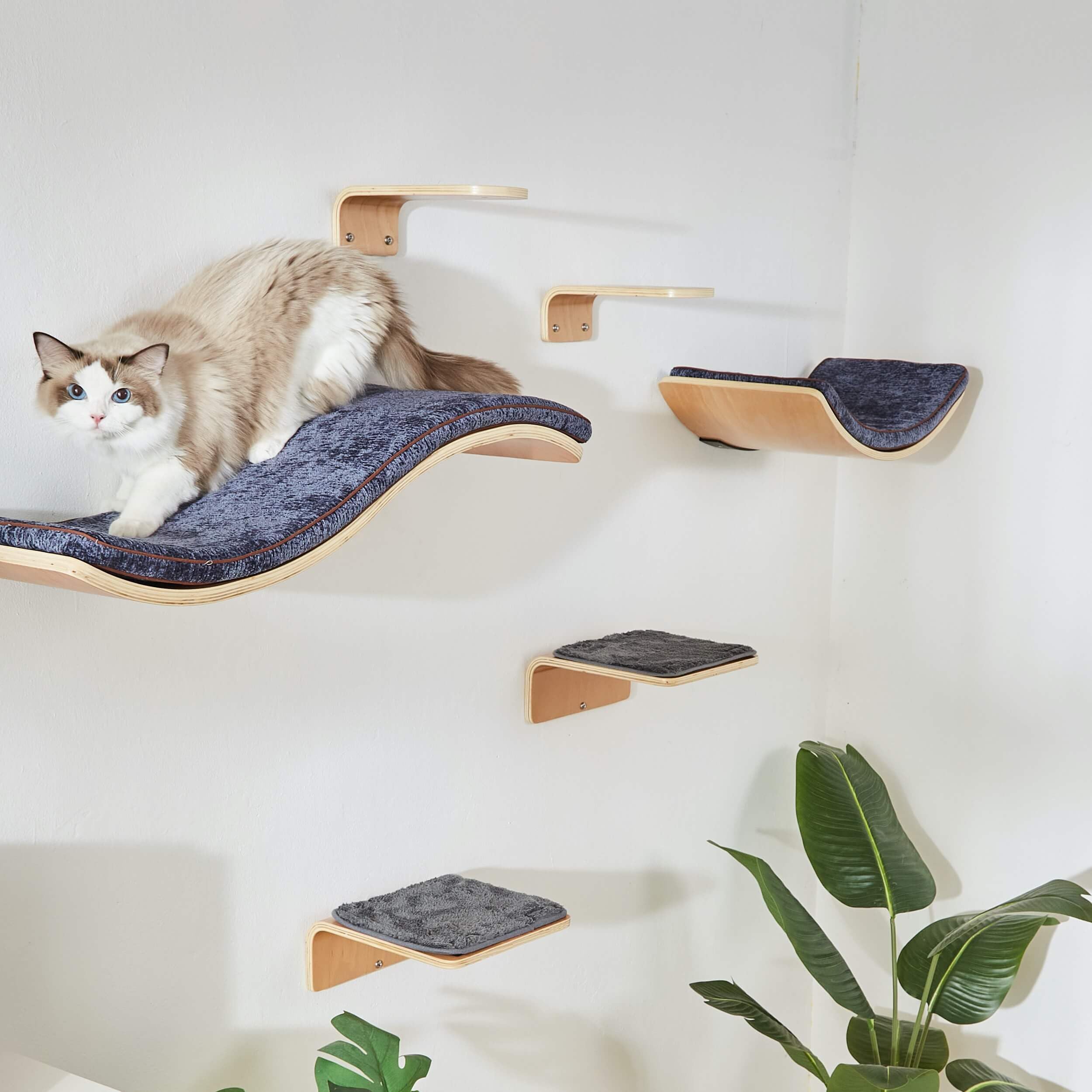 LIORCE cat wall shelf curved bed and steps support safe climbing and lounging sessions