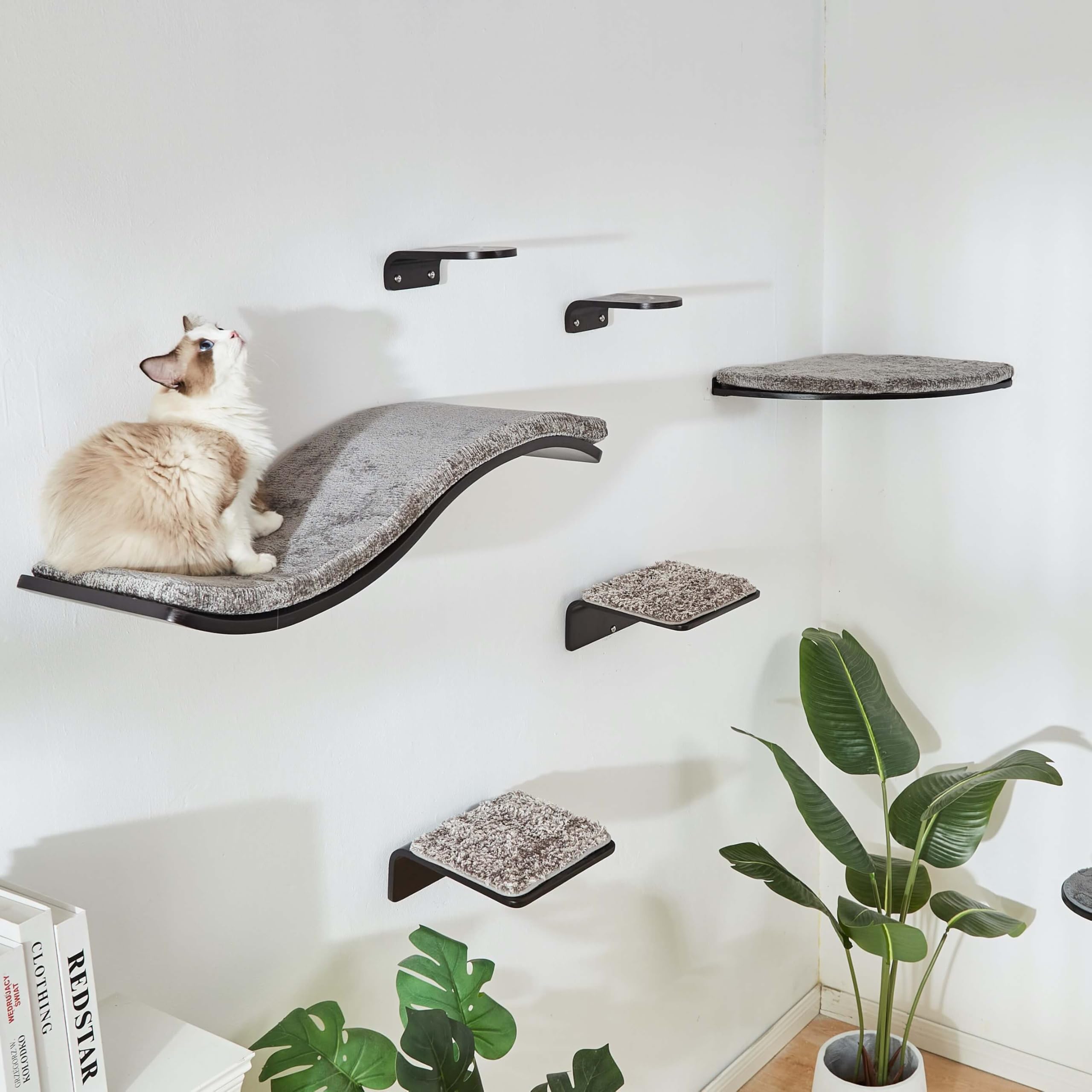 LIORCE cat wall steps cat-climbing-scene illustrates exercise and vertical play