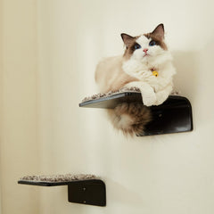 LIORCE cat wall steps wall-mount walnut-finish demonstrates secure mounting and stylish room integration