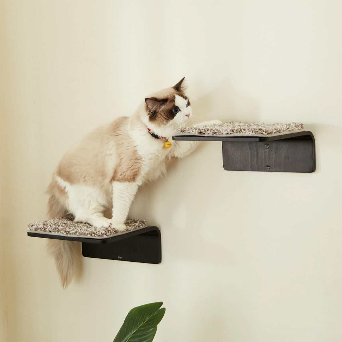 LIORCE cat wall steps wooden shelf left view for safe indoor climbing