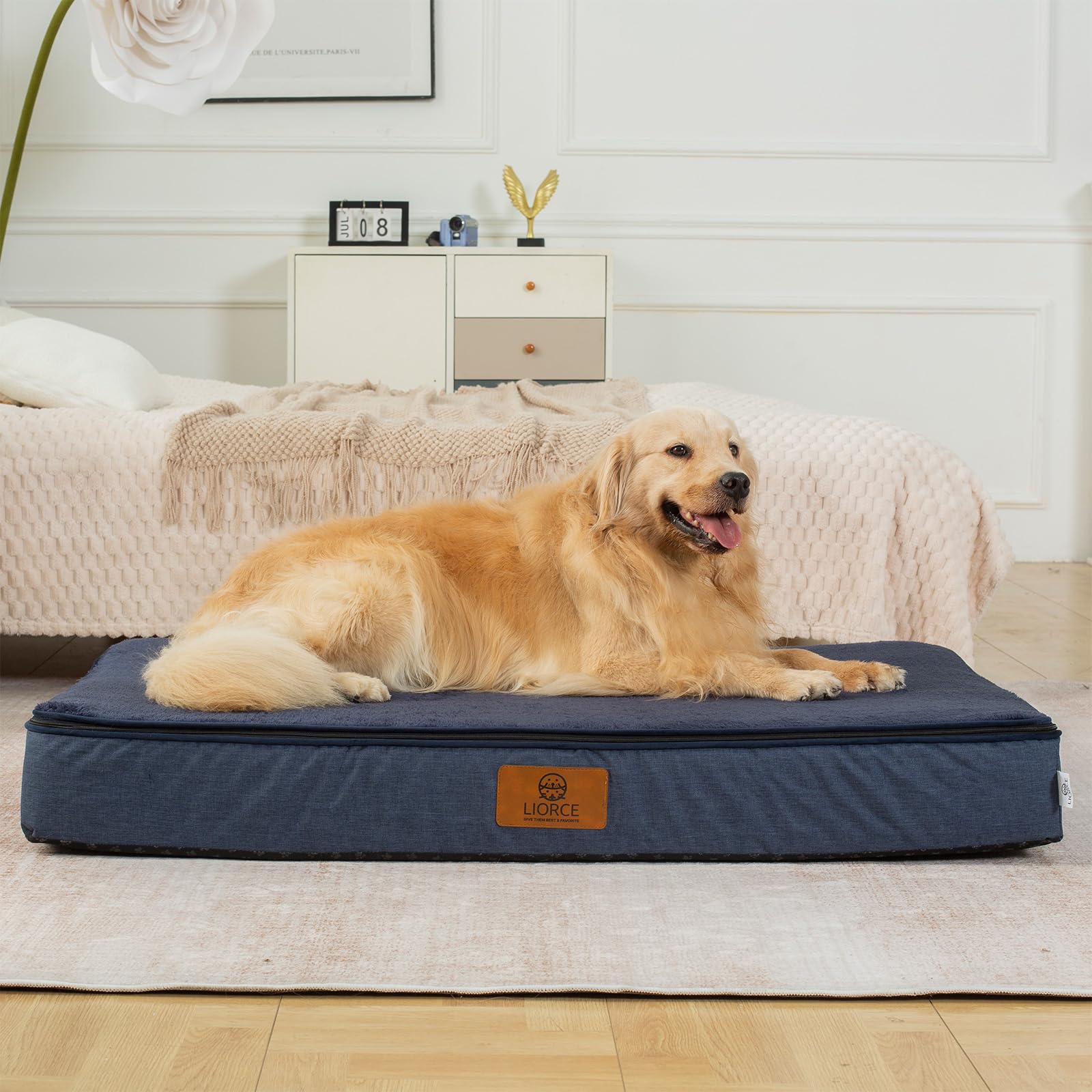 LIORCE dog bed beside crate demonstrates versatile placement and compatibility