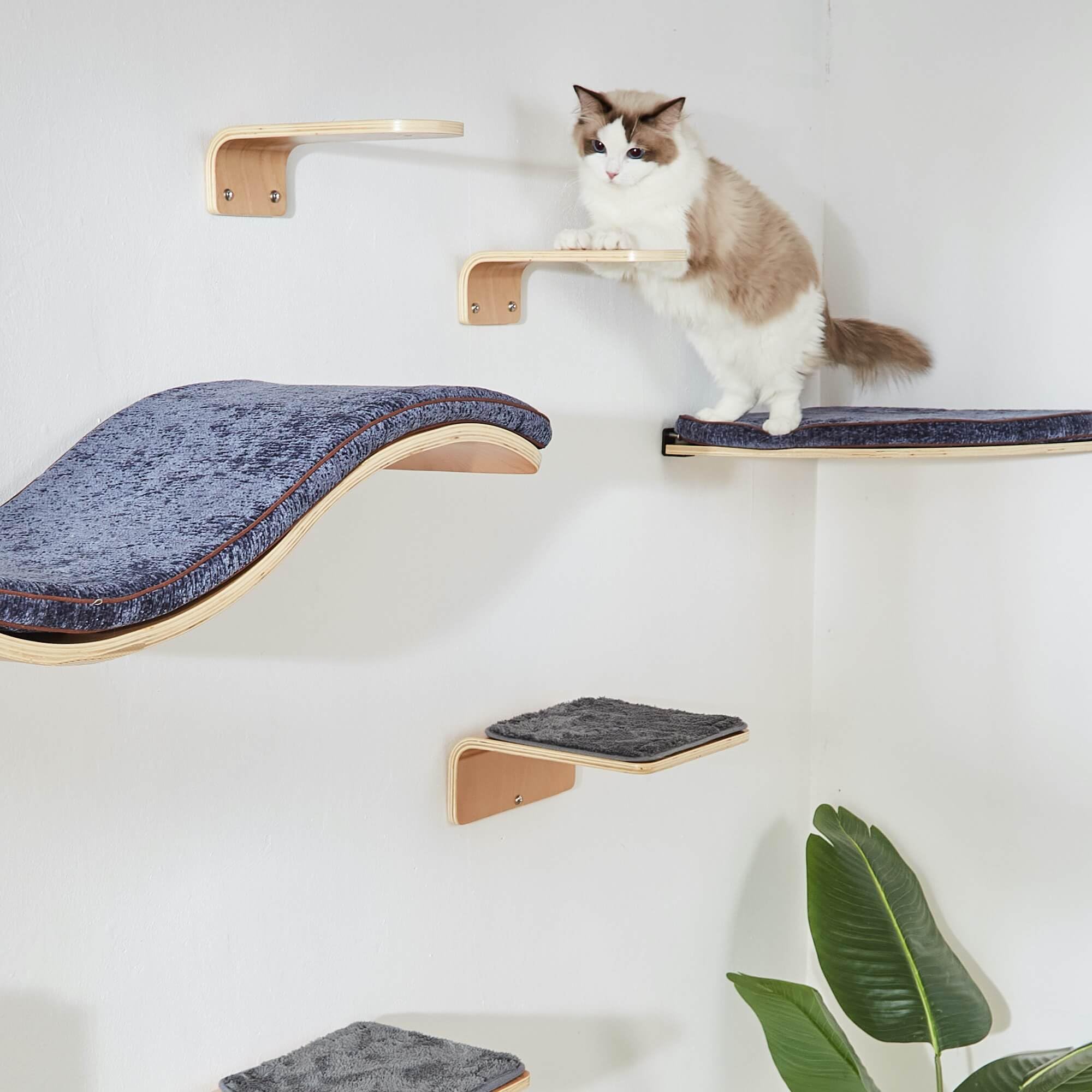 LIORCE minimalistic interior cat perch blending with cream decor